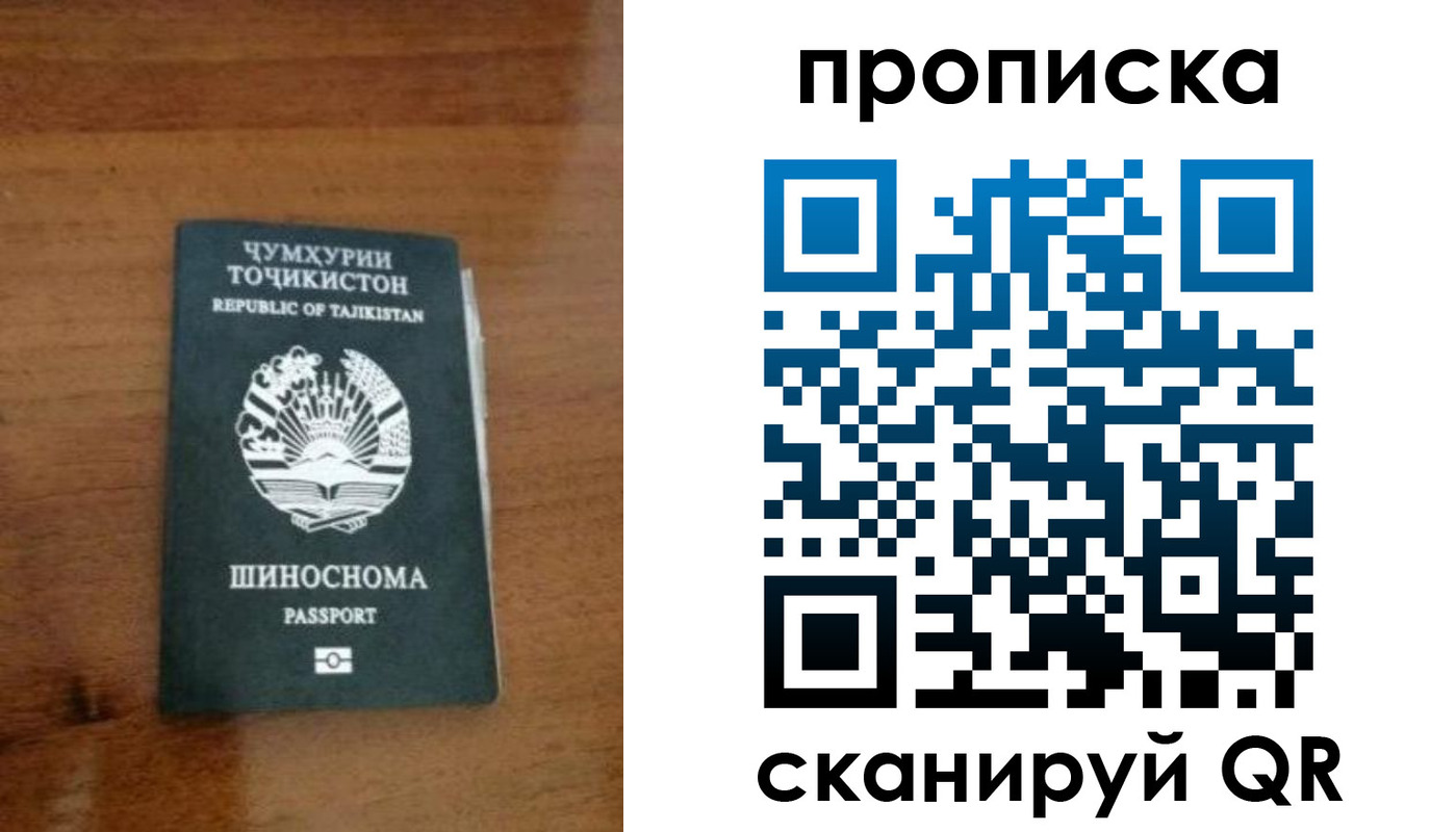 прописка законно в Бокситогорске